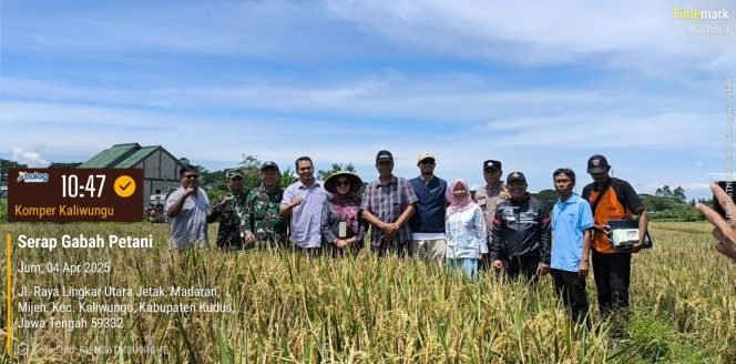 
					BULOG KC Pati Serap Gabah Petani Saat Libur Lebaran, Dukung Ketahanan Pangan