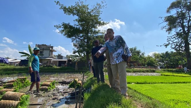 
					Muslikan Terhadap Program 1 Hektar 10 Ton: Langkah Nyata Menuju Swasembada Pangan