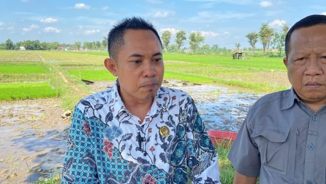 
					Harga Gabah Masih di Bawah HPP, Muslikan Minta Pemerintah Bertindak Tegas