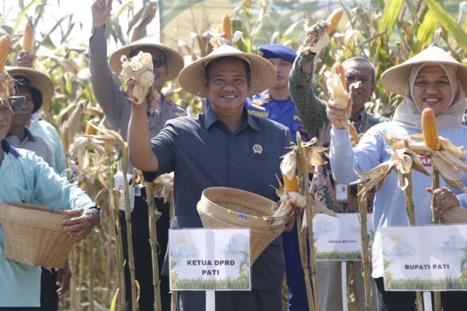 
					HPP Jagung Ditetapkan Rp 5.500, Petani Pati Bisa Jual Langsung ke Bulog