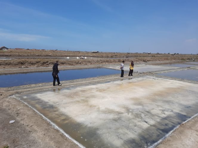 
					Kemarau Basah Hambat Produksi Garam, Petani di Pati Belum Bisa Panen