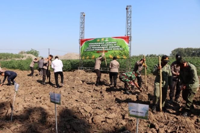 
					Penanaman Jagung Serentak di Tlogowungu: Wujud Nyata Dukungan Polri Terhadap Swasembada Pangan Nasional