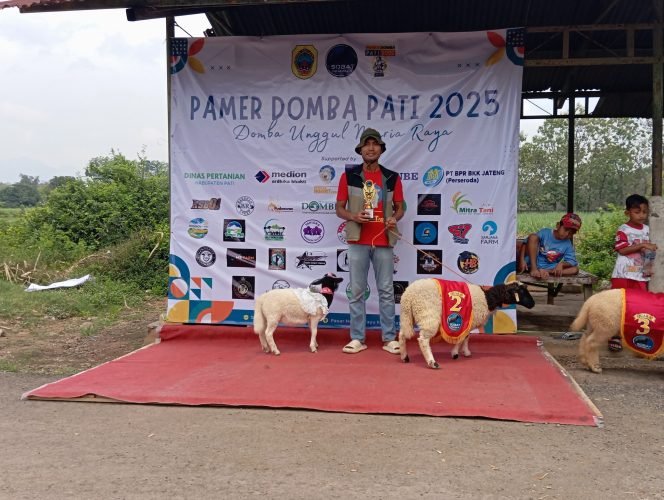 
					Perdana Ikuti Kontes, Berkah Ngarit Farm Harapkan Pamer Domba 2025 Mampu Menginspirasi Para Peternak di Pati