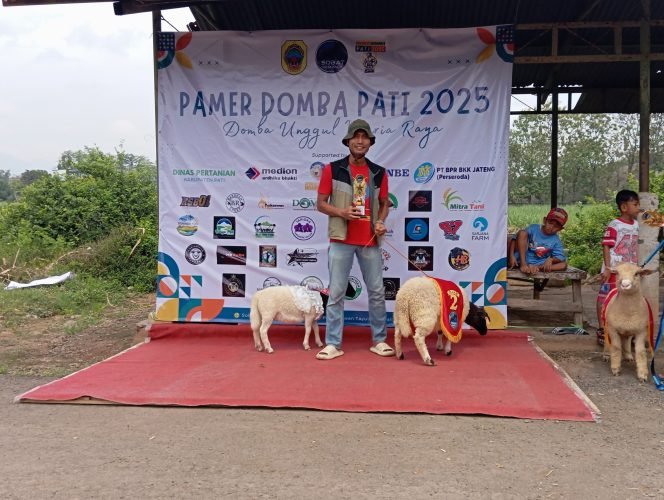 
					Perdana Ikuti Kontes, Berkah Ngarit Farm Harapkan Pamer Domba 2025 Mampu Menginspirasi Para Peternak di Pati