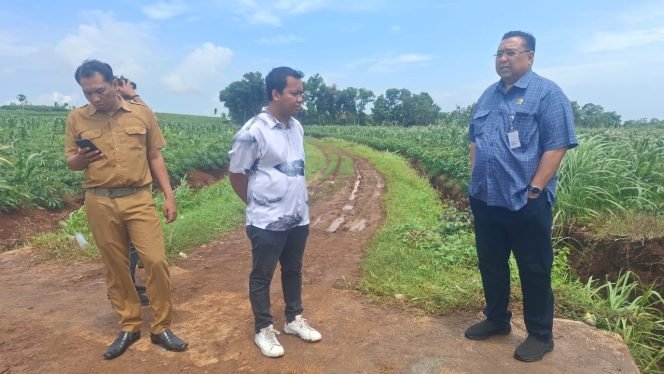 
					Pembangunan Talud Ruas Jalan Puncel-Grogolan di Dukuhseti Pati Terkesan Asal-asalan, Komisi C DPRD Tinjau Lokasi