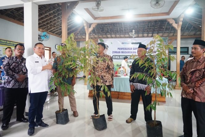 
					Ribuan Bibit Durian Musangking dan Blackthorn Mengalir ke Gunungwungkal