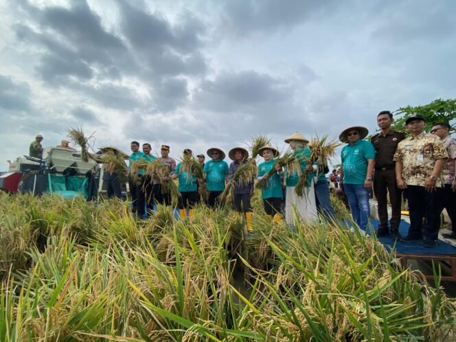 
					Kolaborasi Pemkab dan PT. GNA, Program 10 Ton Bisa Sukses di Desa Gabus