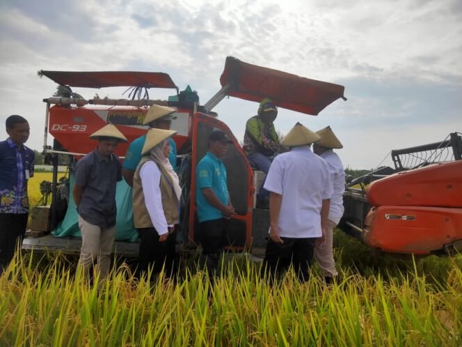 
					Panen Raya Bukti Program 1 Hektar 10 Ton Terwujud di Pati