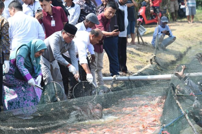 
					Bandang Dorong Pelatihan Pembibitan Nila Salin untuk Perkuat Kemandirian Petambak
