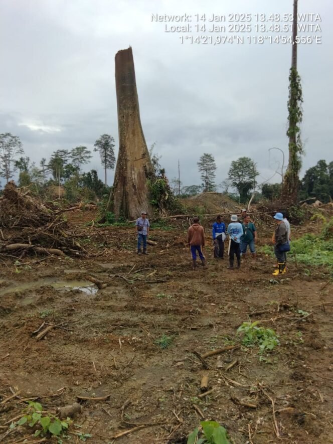 
					KERUKUNAN MASYARAKAT ADAT DAYAK BASAB ULAYAT JANTUI, KESULTANAN SAMBALIUNG, DAN SABANG MERAH BORNEO KECAM PT. TRIDAYA HUTAN LESTARI (THL): HUKUM ADAT DILECEHKAN, AKSI MASSA SIAP DIGELAR!