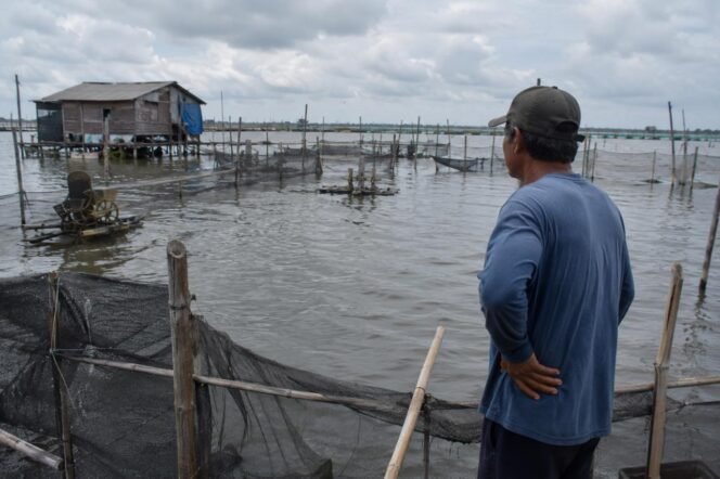 
					Muntamah Desak Pemkab Pati Segera Beri Kompensasi Petani Tambak Korban Rob