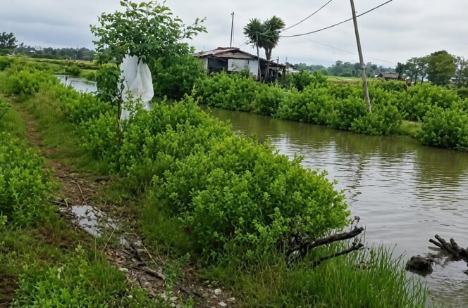 
					Eko Kuswanto Desak Pemkab dan BBWS Segera Tangani Tanggul Jebol di Jepat Lor