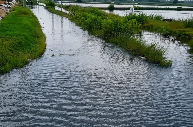 
					Tanggul Sungai Jepat Lor Jebol, Tambak Warga Terendam dan Picu Kekhawatiran