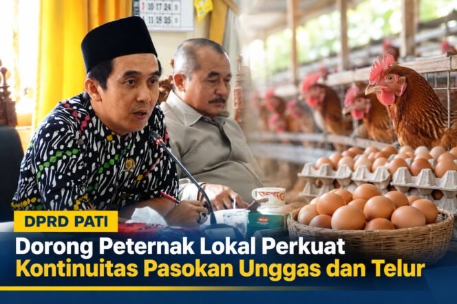 
					DPRD Pati Dorong Peternak Lokal Perkuat Kontinuitas Pasokan Unggas dan Telur