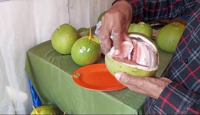 
					DPRD Pati Buka Peluang Jeruk Pamelo Dikembangkan Jadi Wisata Agro