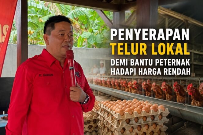 
					DPRD Pati Dorong Penyerapan Telur Lokal untuk Bantu Peternak Hadapi Harga Rendah