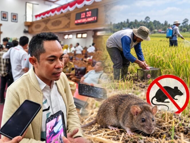 
					DPRD Pati Minta Pengendalian Hama Tikus Tak Sekadar Saat Serangan